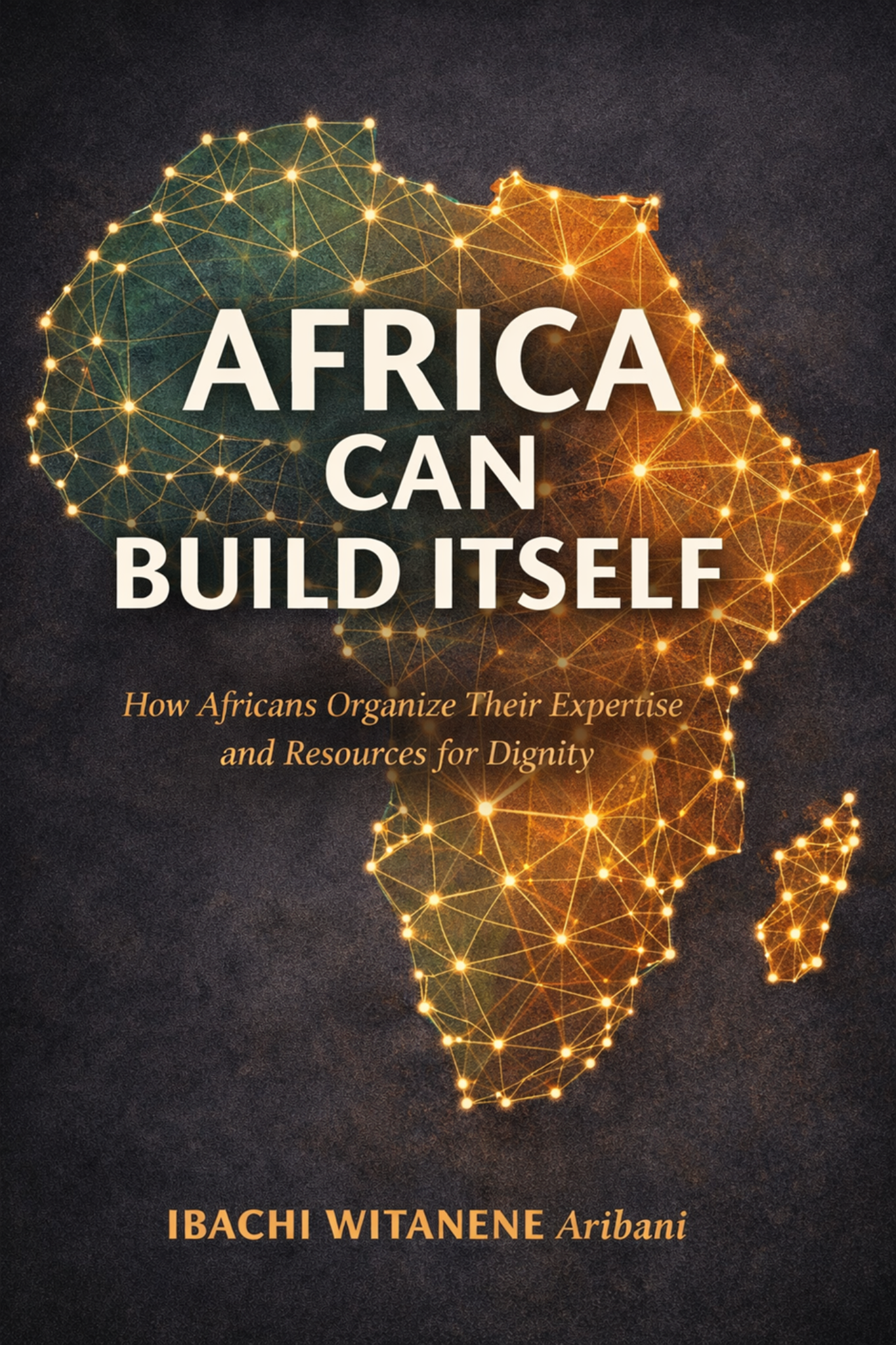 Africa Can Build Itself — Book cover